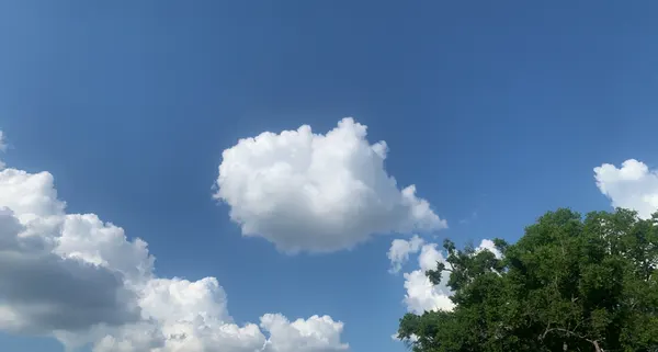 Cloud photo 21 of 23 from the PNOLC cloud gallery